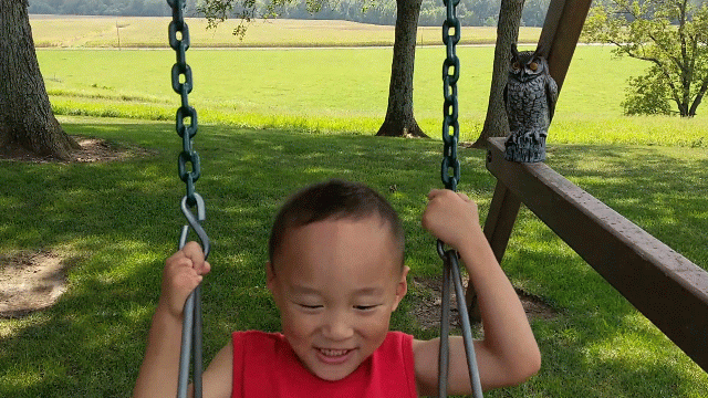 Micah on the swing